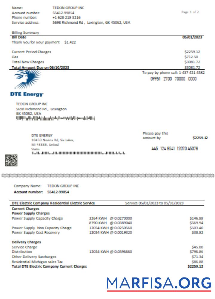 Printable DTE Energy utility business bill SCR page 1 download for verification